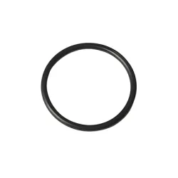 О-пръстен Gardena за хидрофорна помпа 6000/6 E LCD INOX О-пръстен Gardena за хидрофорна помпа 6000/6 E LCD INOX