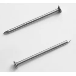 Гвоздей Zhiti пирон за дърво с плоска глава 1.6х25 мм Гвоздей Zhiti пирон за дърво с плоска глава 1.6х25 мм