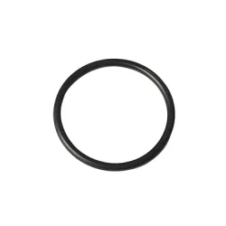 О-пръстен Gardena за хидрофорна помпа 6000/6 INOX, 6000/6 E LCD INOX О-пръстен Gardena за хидрофорна помпа 6000/6 INOX, 6000/6 E LCD INOX